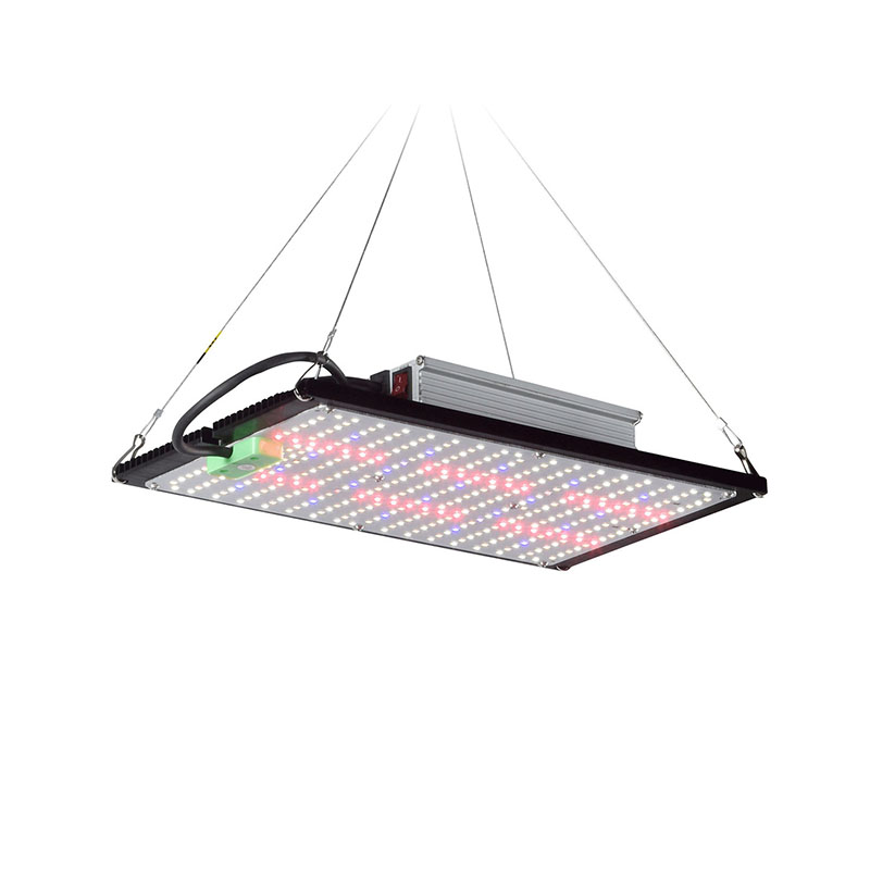 LED Quantum‑Board Grow Light F - Plant Grow Light Full Spectrum recension och pris