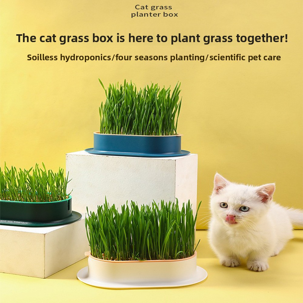 Pet Supplies Cat Snacks Cat Pl - Hydroponic Grow Pod recension och pris