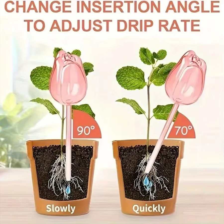 Transparent Thick PET Tulip Sh - Self Watering Planter recension och pris