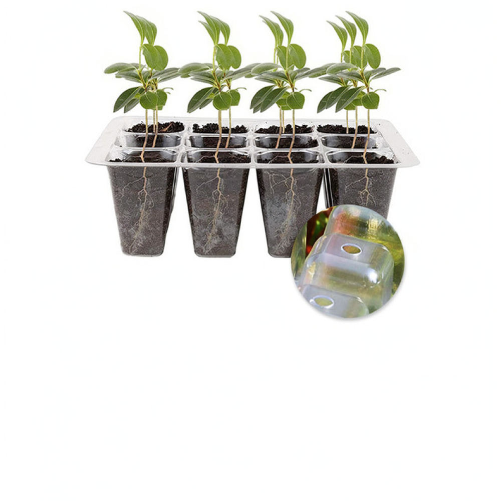 Plant Grow Light Starter Kit H - Indoor Garden Kit recension och pris