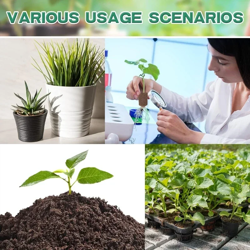Seedling Starter Sponge Kit fo - Indoor Garden Kit recension och pris