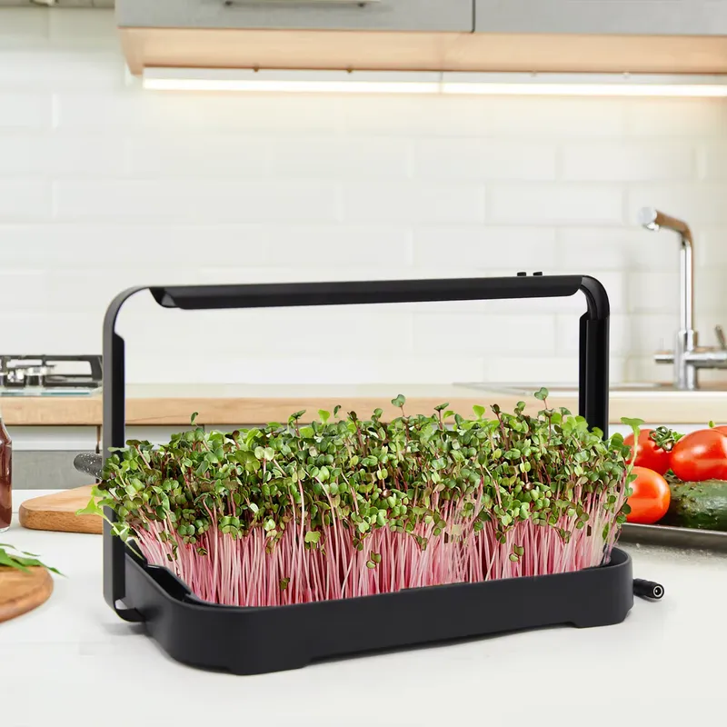 Hydroponic Tray Indoor Microgr - Smart Garden Kit recension och pris