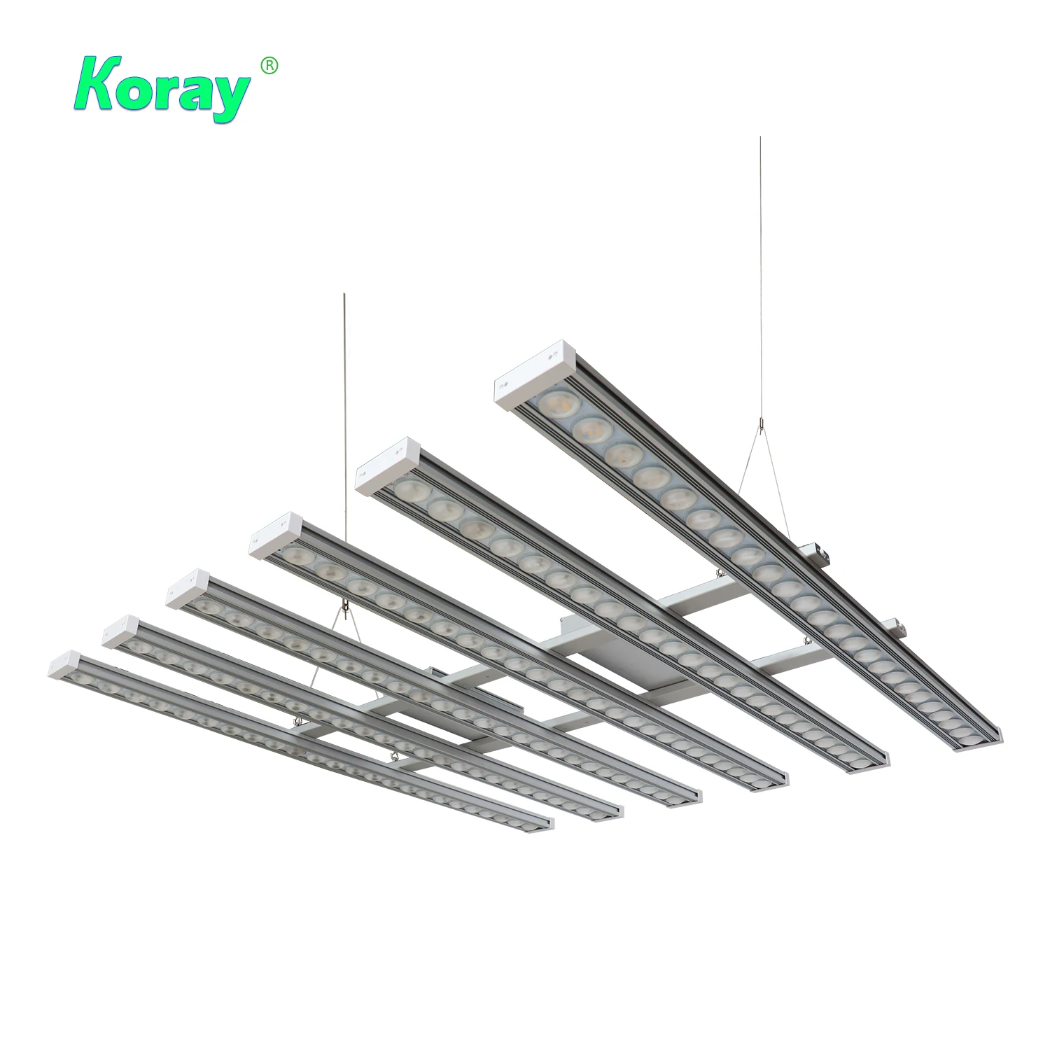 Koray 900W Indoor full spectru - Plant Grow Light Full Spectrum recension och pris