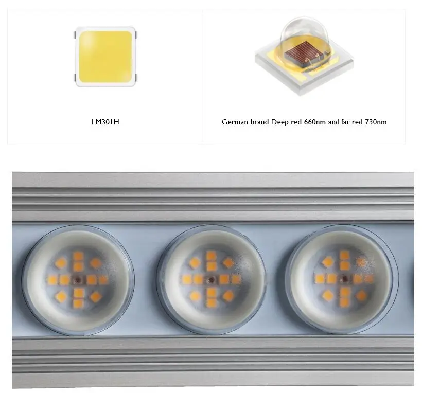 Koray 900W Indoor full spectru - Plant Grow Light Full Spectrum recension och pris