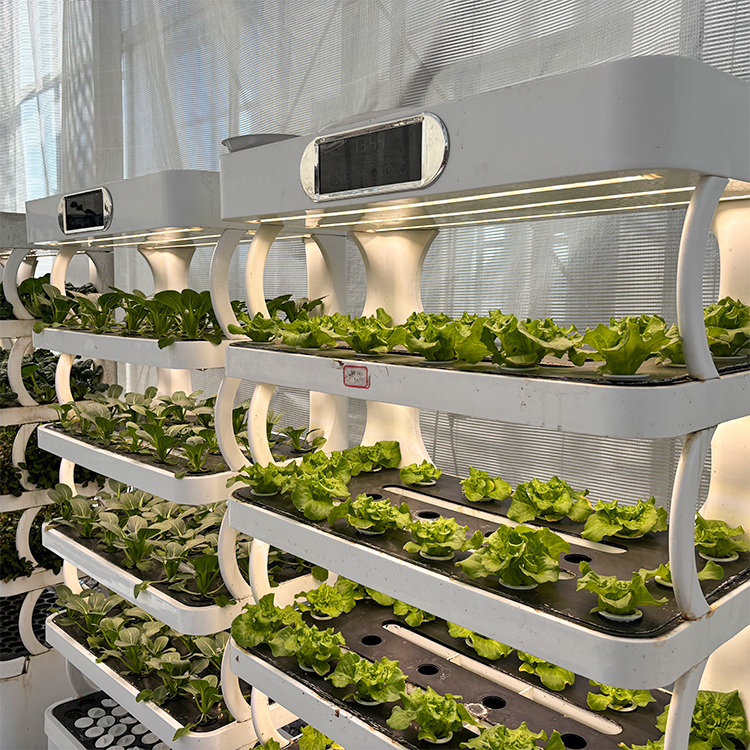 Intelligent Indoor Garden Plan - Grow Light Led recension och pris